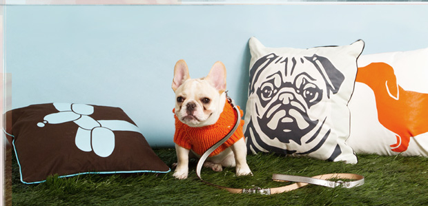 The Pet Shop: Tail-Wagging Beds, Leashes, & More