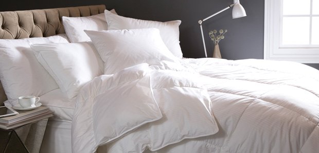 The Down Shop: Fluffy Comforters, Pillows, & More
