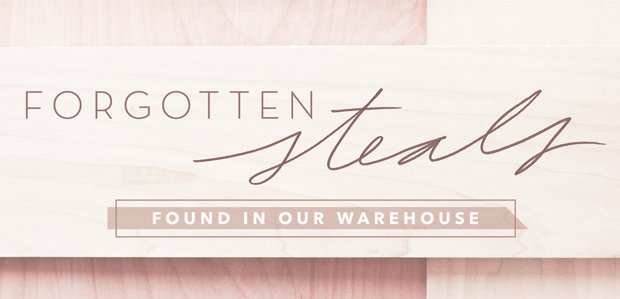 Forgotten Steals: Found in Our Warehouse