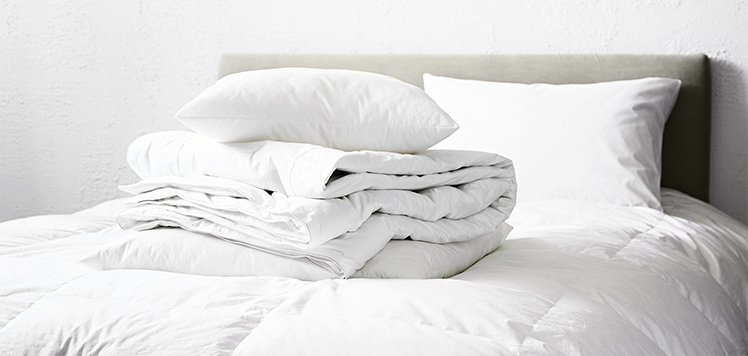 Basic Bedding & More