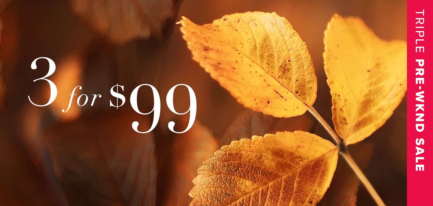 48 Hours to Shop