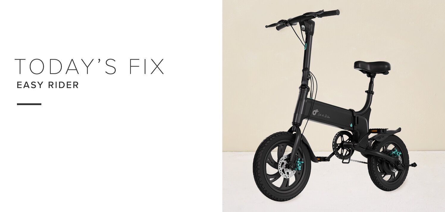 Phunkee Tree Foldable Electric Bike