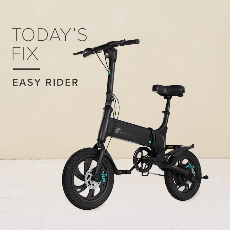 Phunkee Tree Foldable Electric Bike