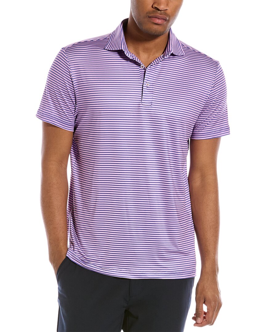 tailorbyrd polo shirt