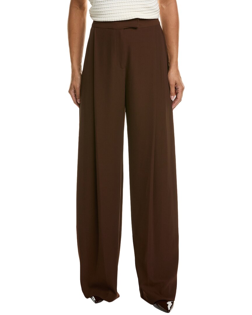 Shop The Sei Baggy Pleat Pant In Brown