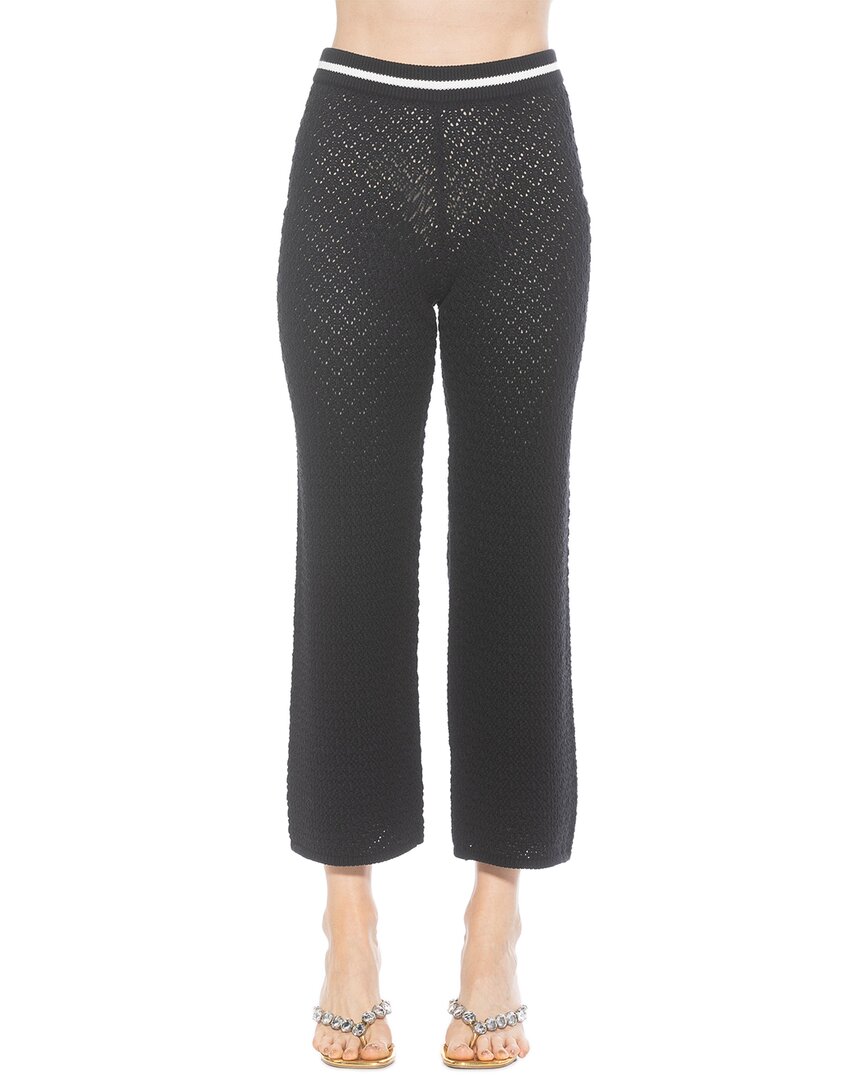 Alexia Admor Kora Cropped Open Stitch Knit Pants