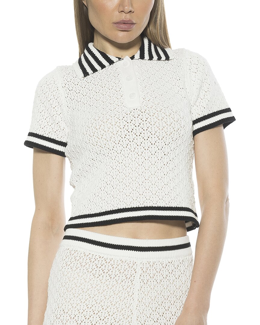 Alexia Admor Brinley Crochet Stitch Polo
