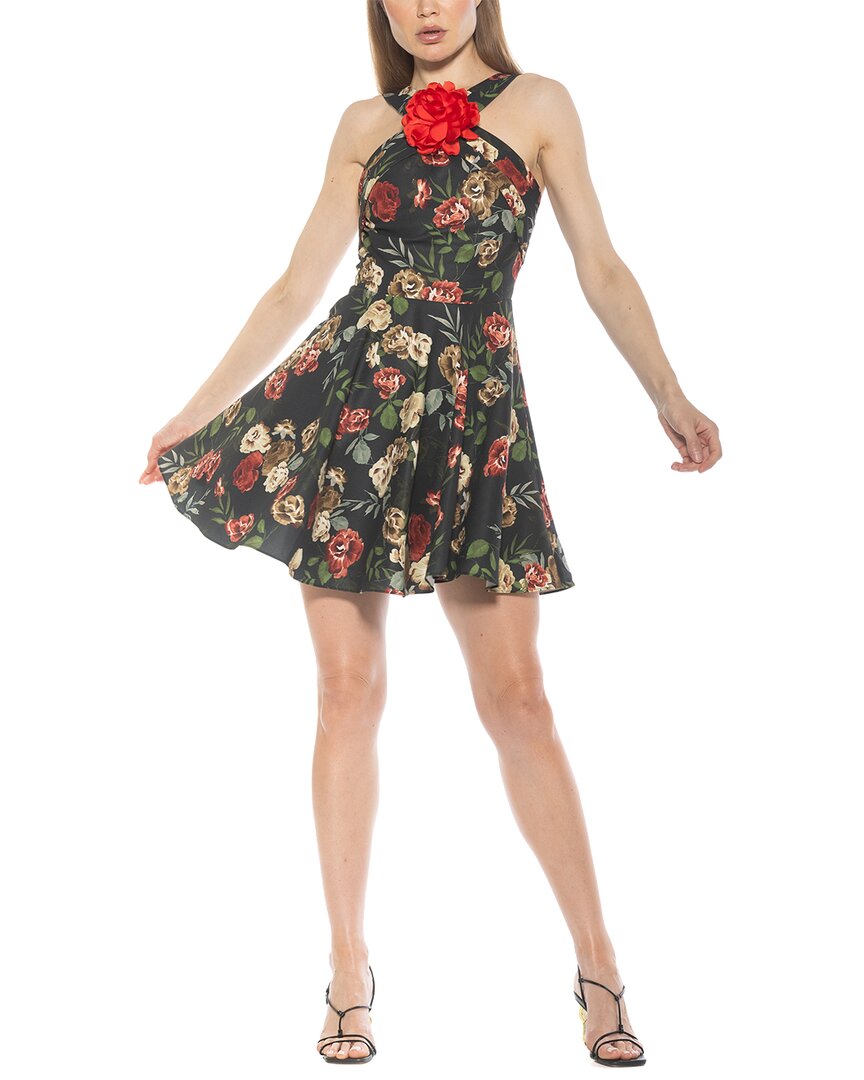 Alexia Admor Alexi Dress