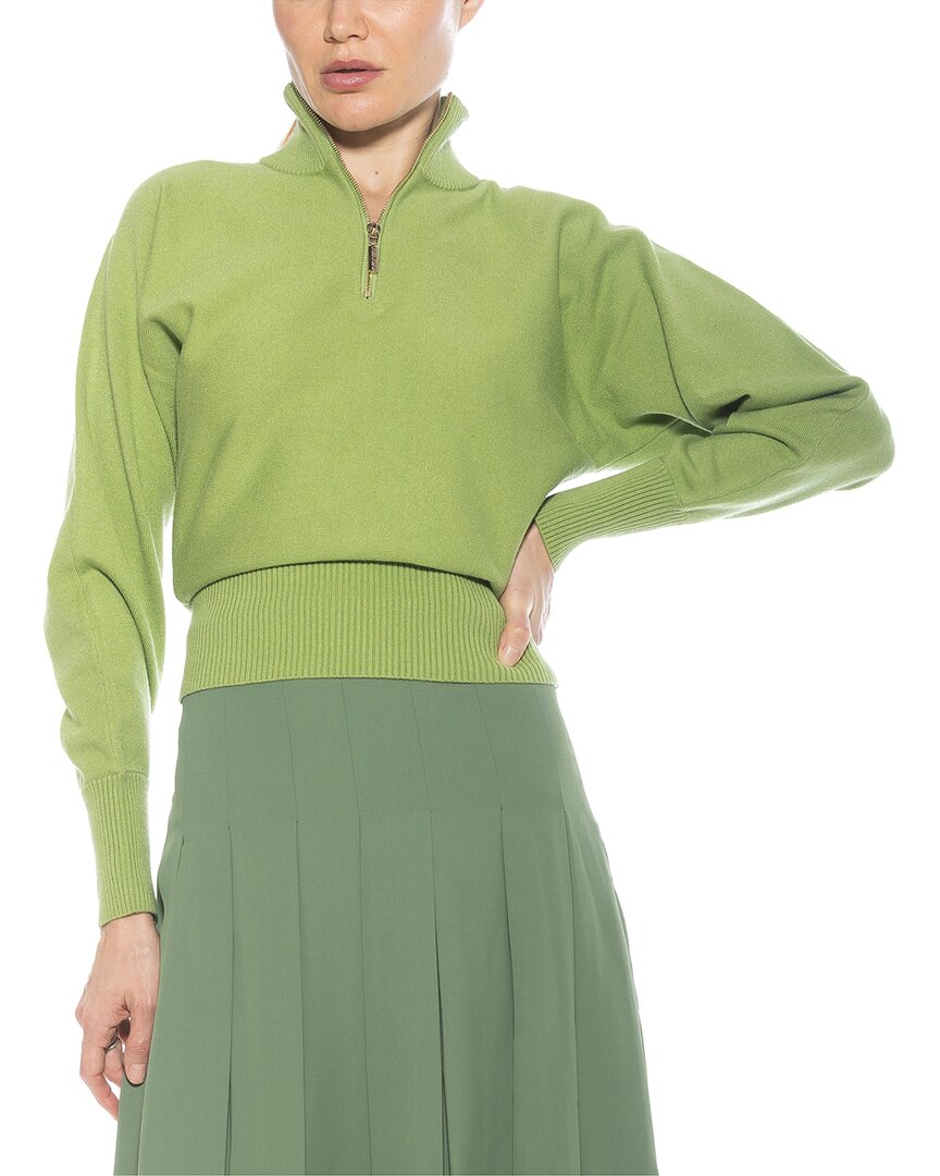 Alexia Admor Niko Turtleneck Sweater