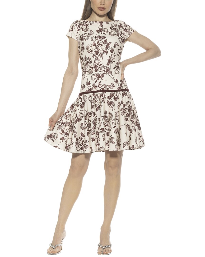 Alexia Admor Drop Waist Dress