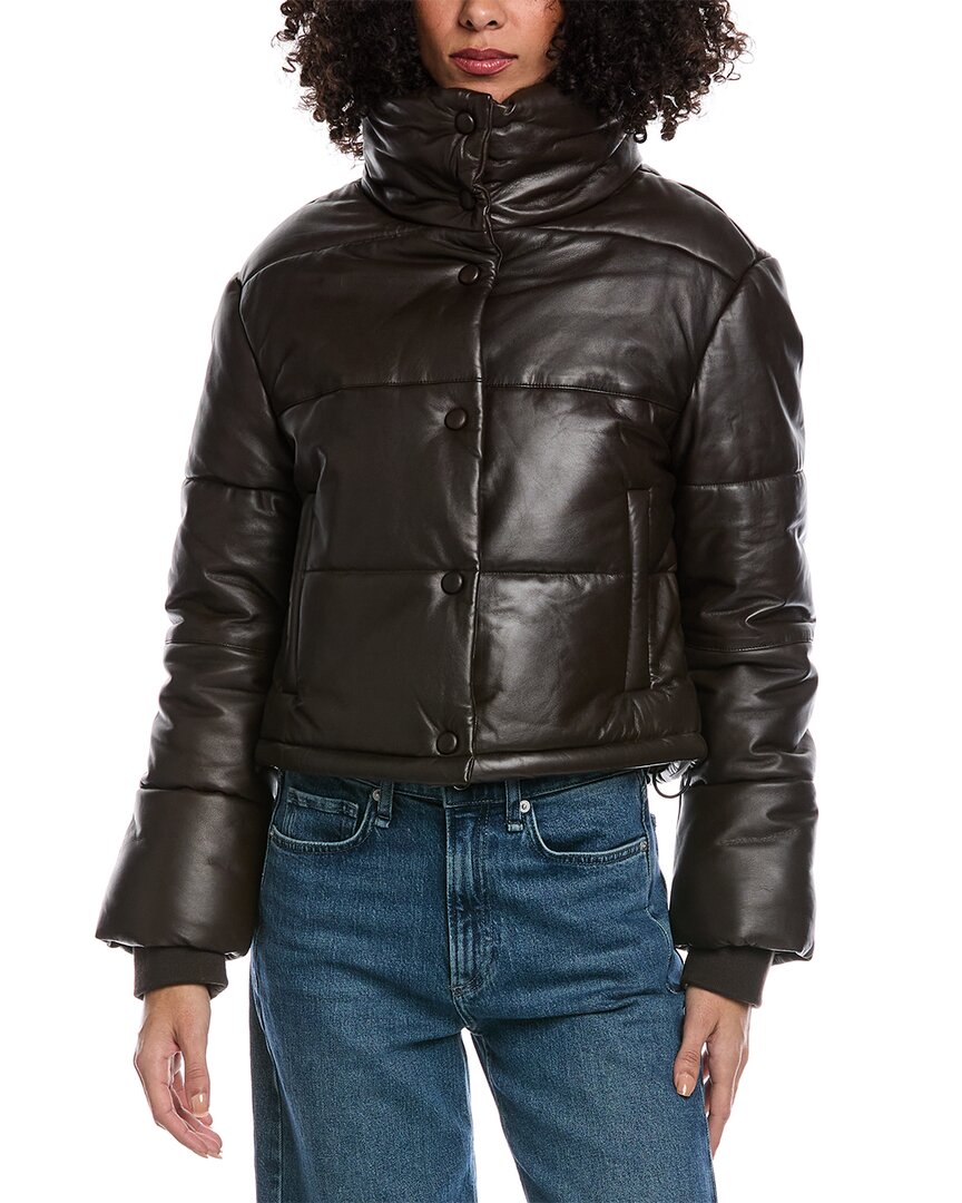 Walter Baker Tf Dnu  Jesse Jacket In Blue