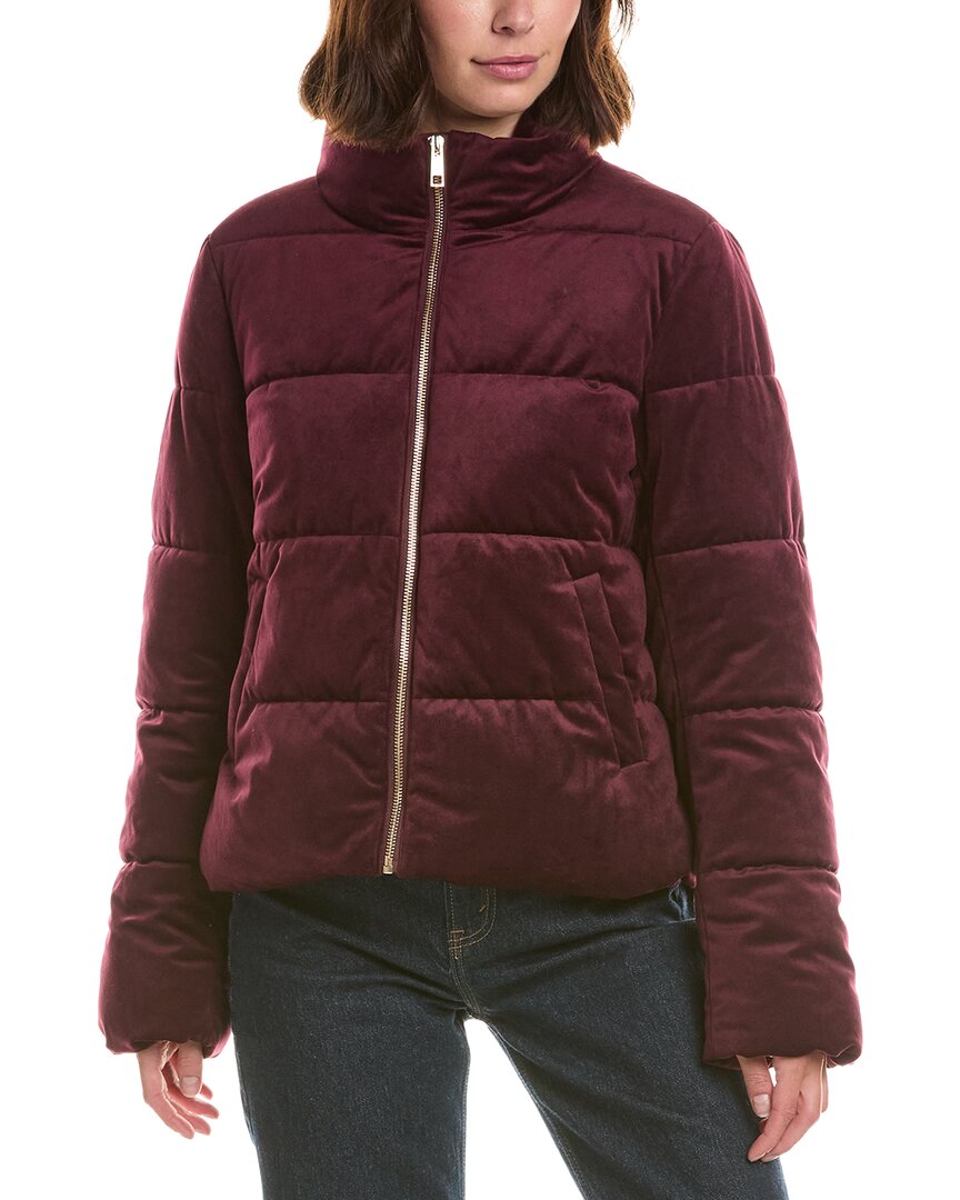 Cece Velvet Puffer Jacket In Burgundy