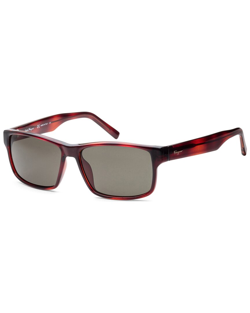 Shop Ferragamo Women's Sf960s 58mm Sunglasses In Brown
