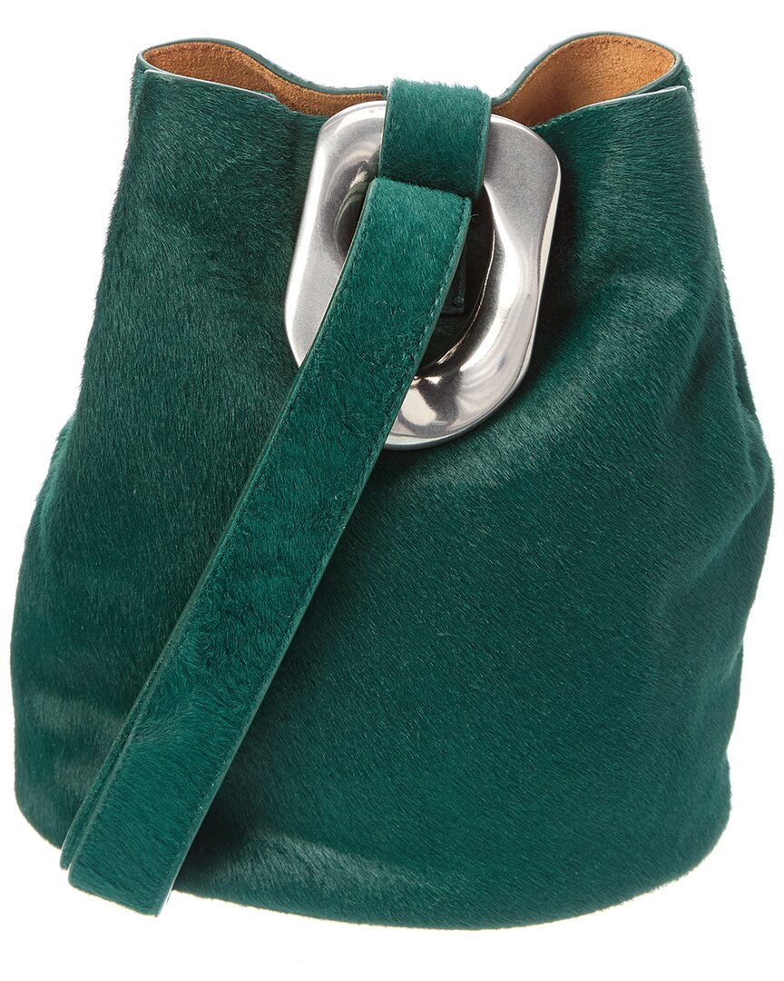 Bottega Veneta Haircalf Bucket Bag