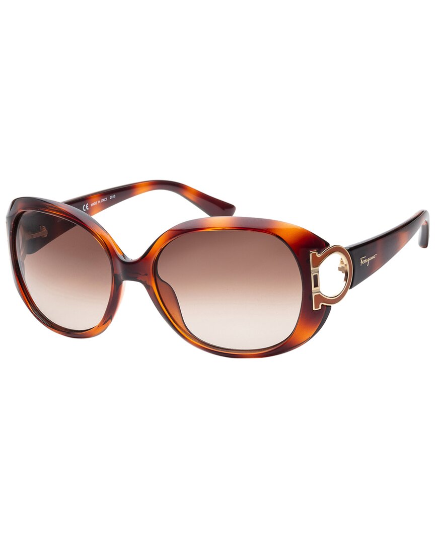 Ferragamo Women's Sf668s 57mm Sunglasses In Brown