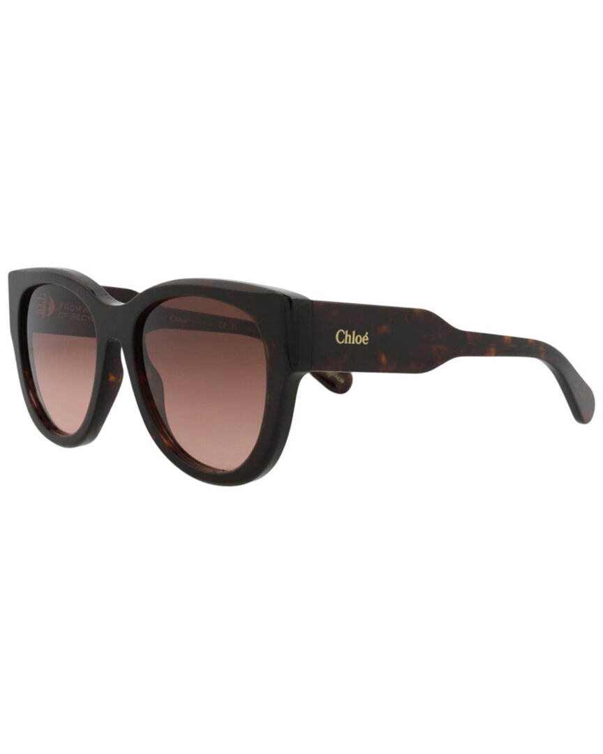 Chloé 55mm Cat Eye Sunglasses In Brown