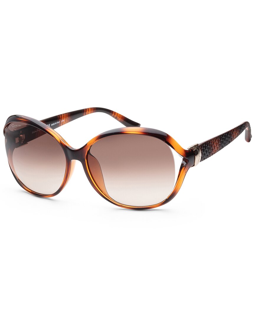 Shop Ferragamo Women's Sf770sa 61mm Sunglasses In Brown
