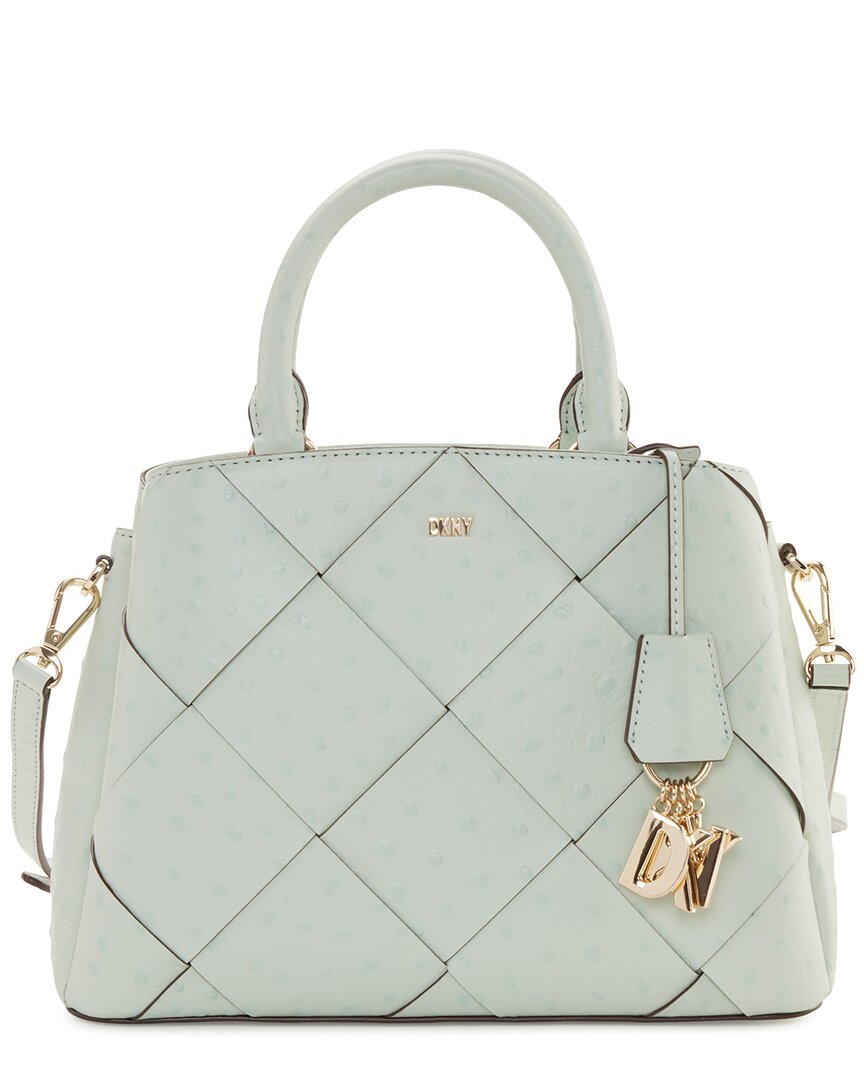 Dkny Paige Medium Leather Satchel In Green