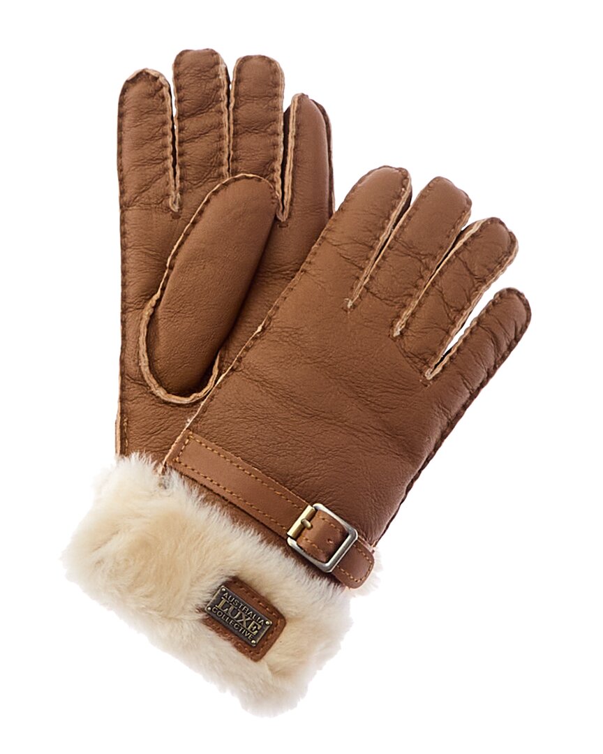 Australia Lux E Collective Sheepskin Gloves In Brown