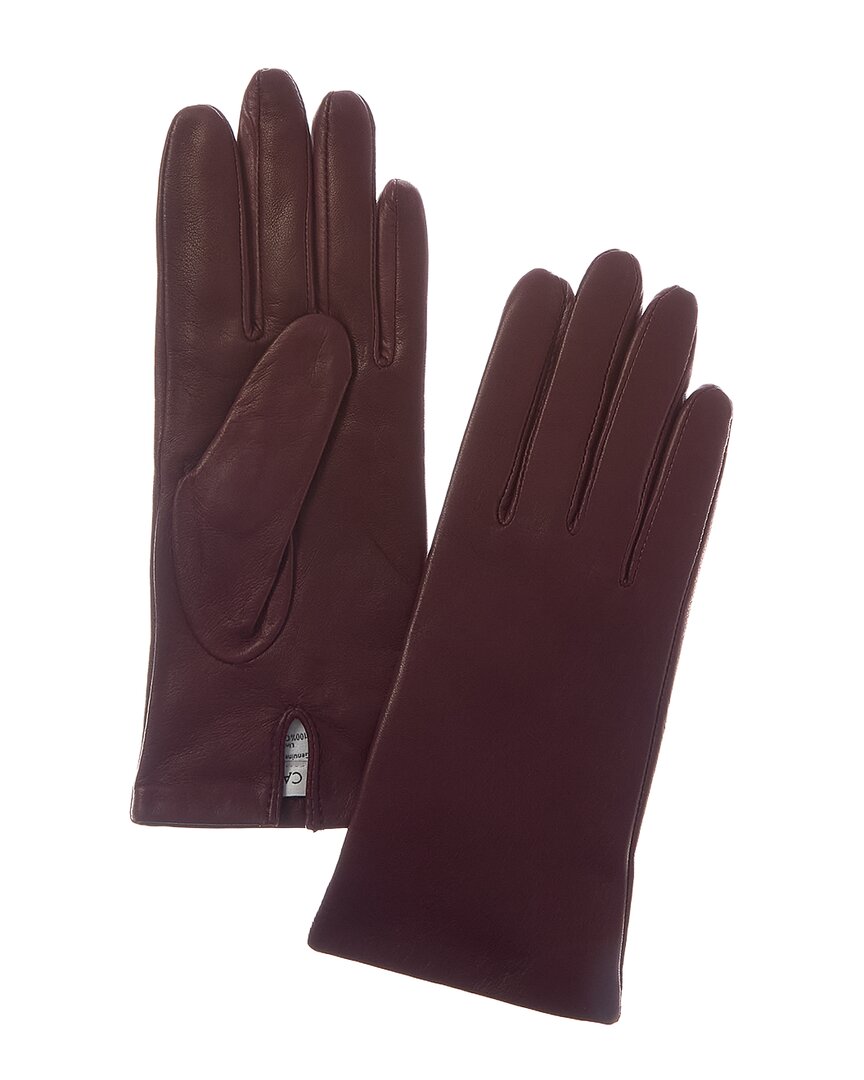 Sofia Cashmere Sofiacashmere Classic Cashmere-lined Nappa Leather Gloves In Burgundy