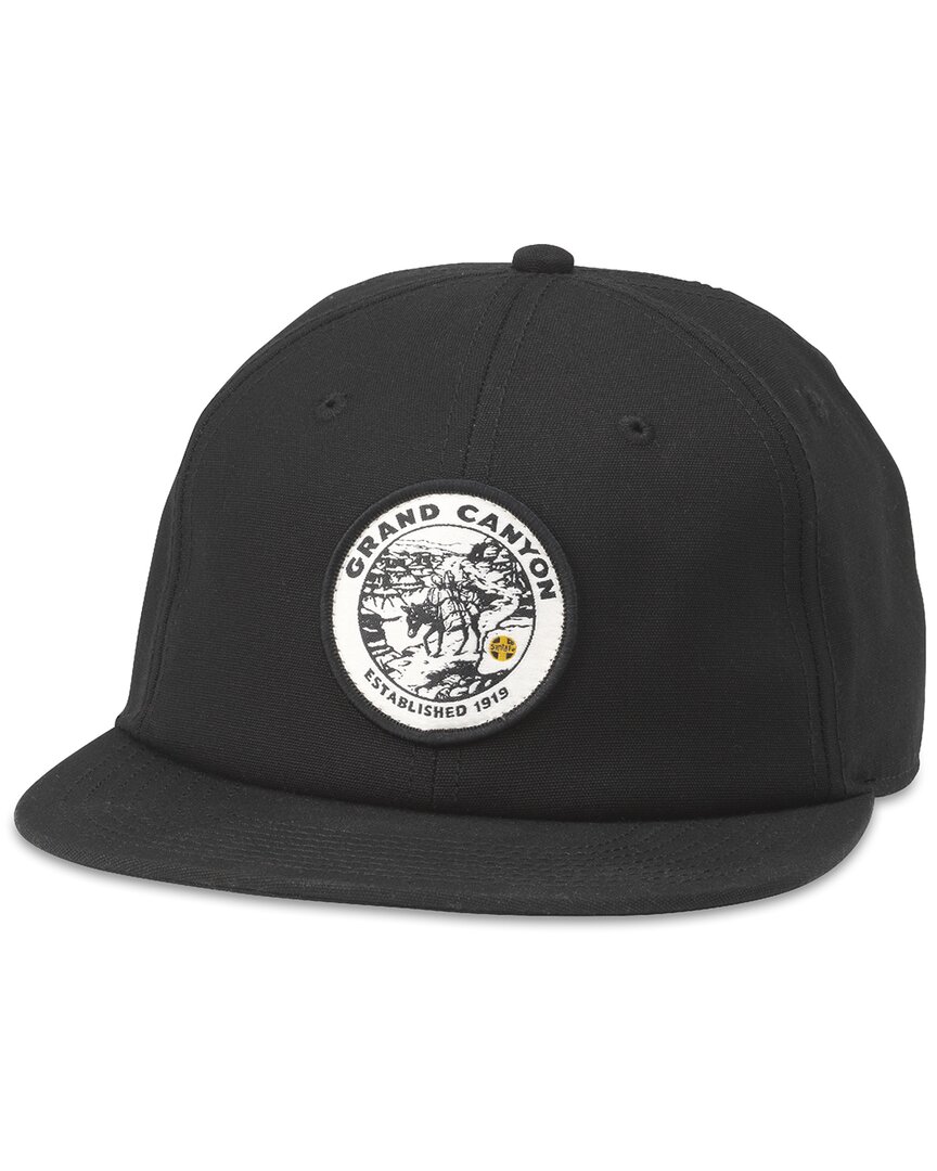 Shop American Needle Alpine Hat In Black