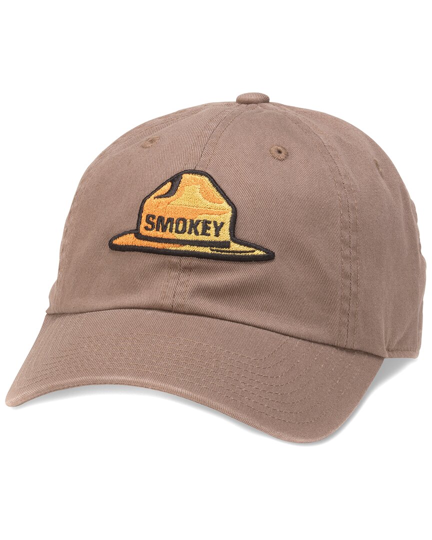 Shop American Needle Ballpark Hat In Brown