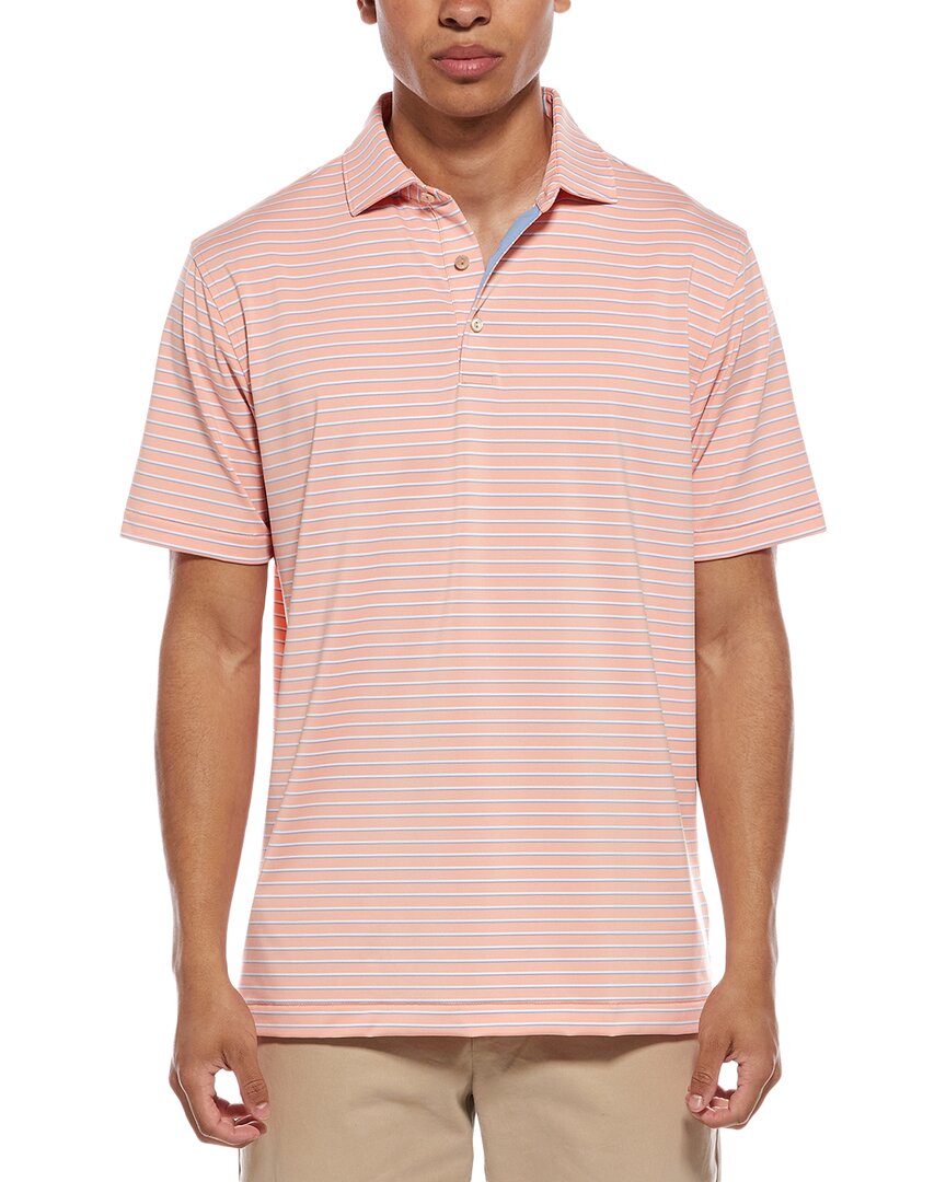 Peter Millar Polo Shirt In Pink
