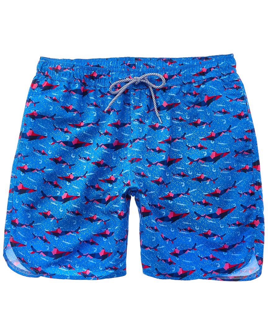 Tailorbyrd Abstract Sharks Swim Short