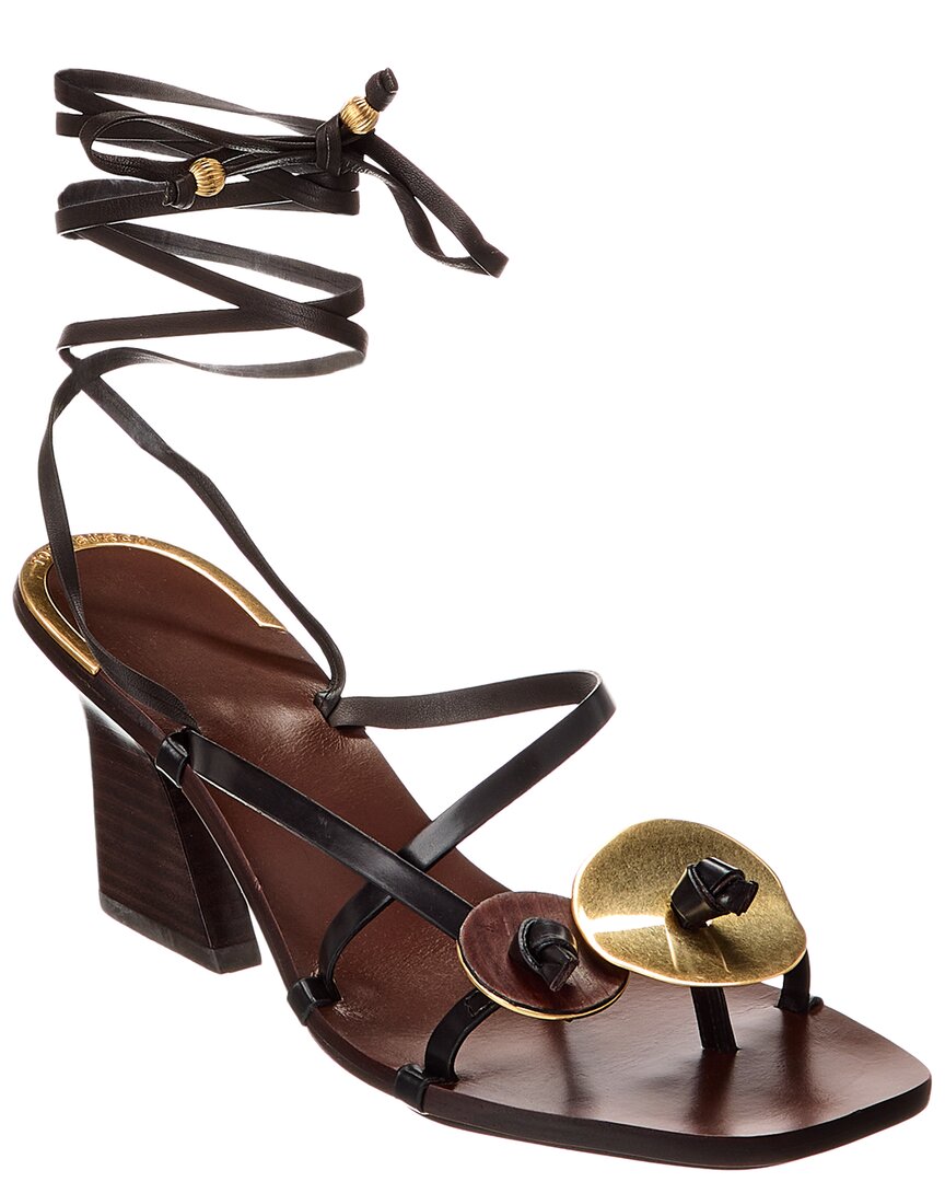Tory Burch Woman Thong Sandal Dark Brown Size 11.5 Calfskin In Brown