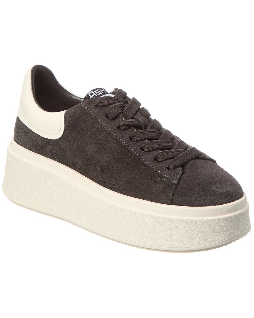 Ash Moxie Suede Platform Sneaker In Black
