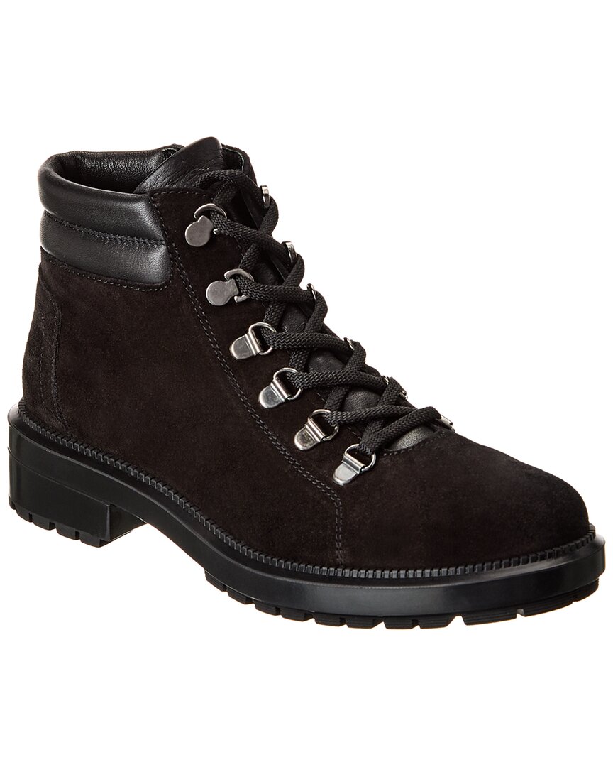 Aquatalia Cynthia Suede Nylon Lace-up Hiker Boots In Black