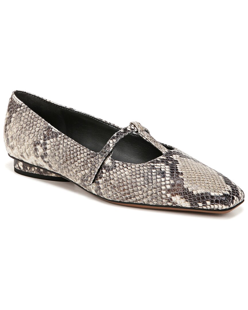 Franco Sarto Nalin Pointed Toe Flat