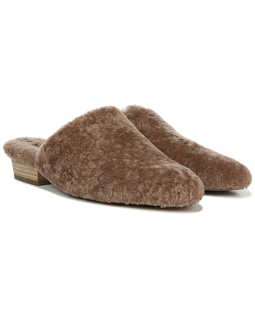 vince gaia mule