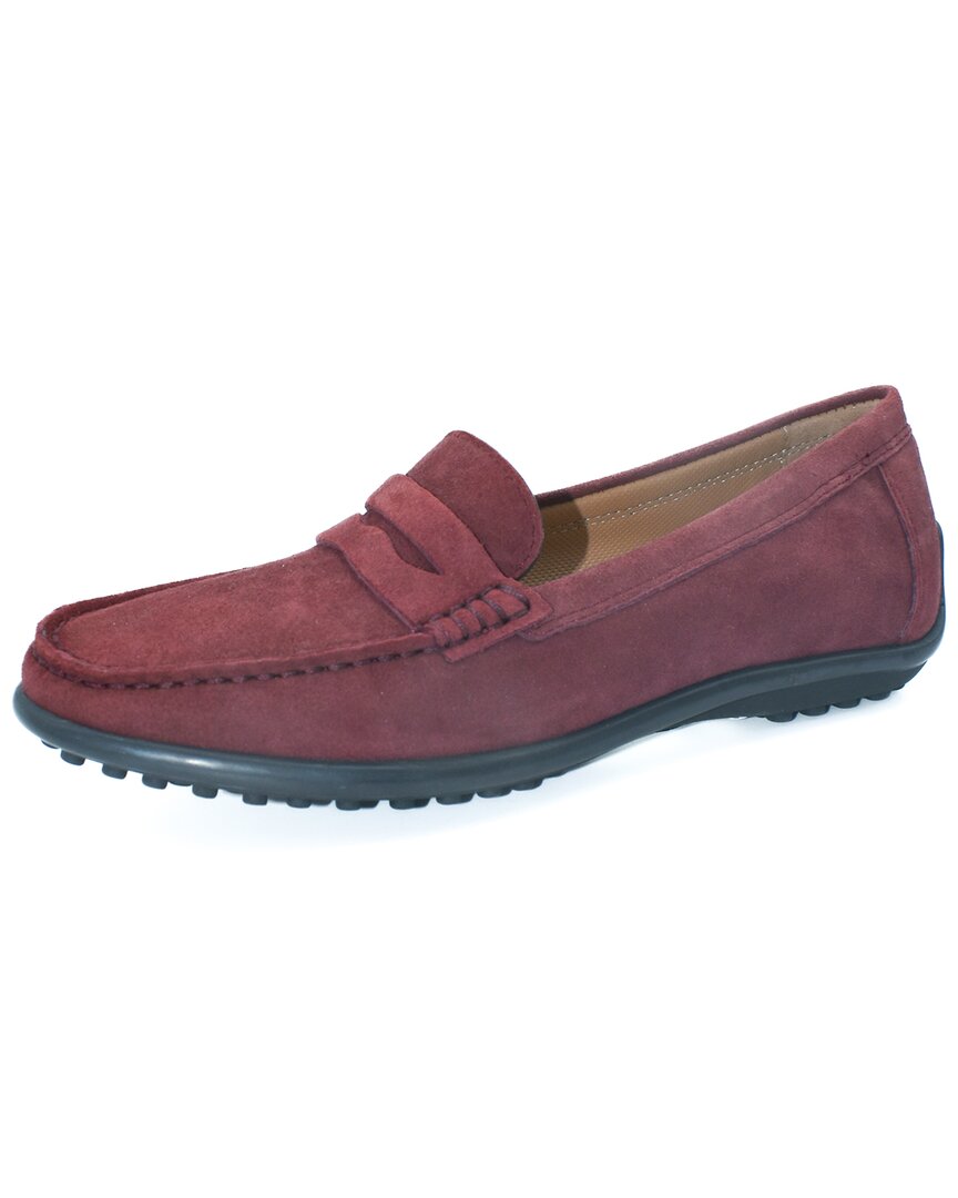 The Flexx Winter Loafer Suede Loafer In Neutral