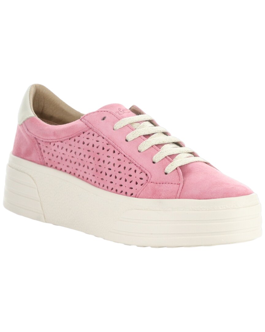 Bos. & Co. Lotta Suede Sneaker In Pink