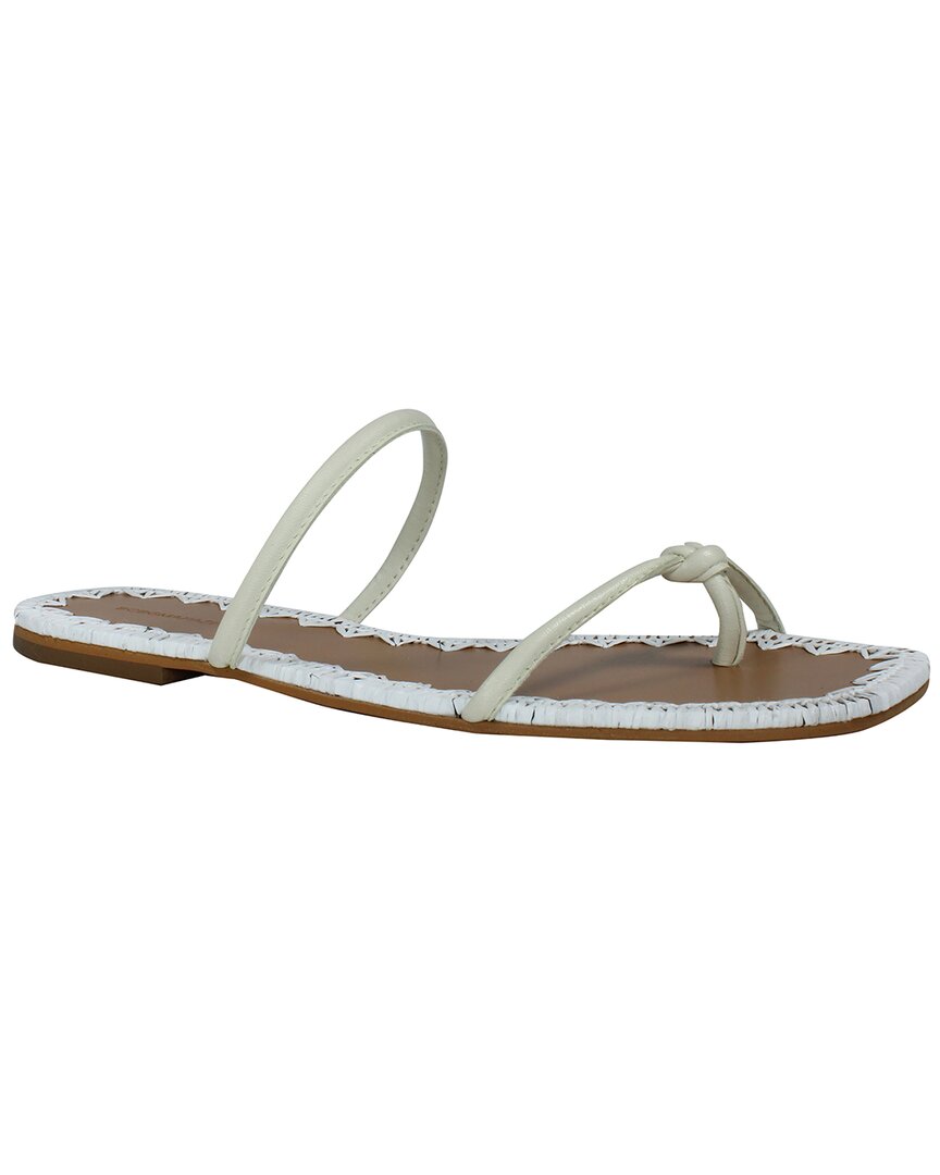 Bcbgmaxazria Women's Bali Flat Sandal Women's Shoes