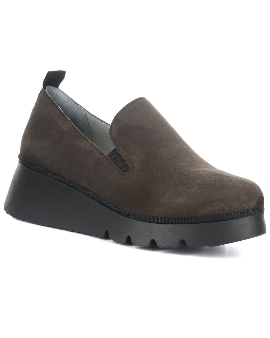 Shop Fly London Pece Suede Wedge