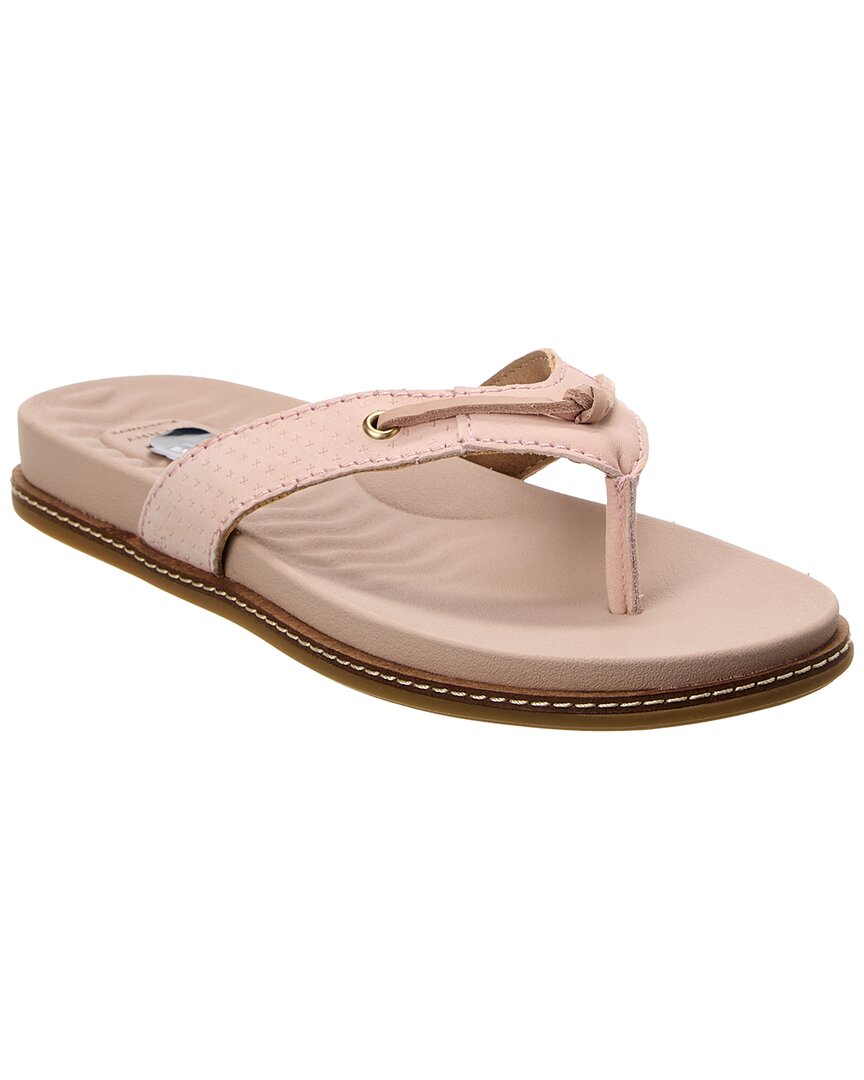 Shop Sperry Waveside Plushwave Leather Thong Flip Flop In Pink
