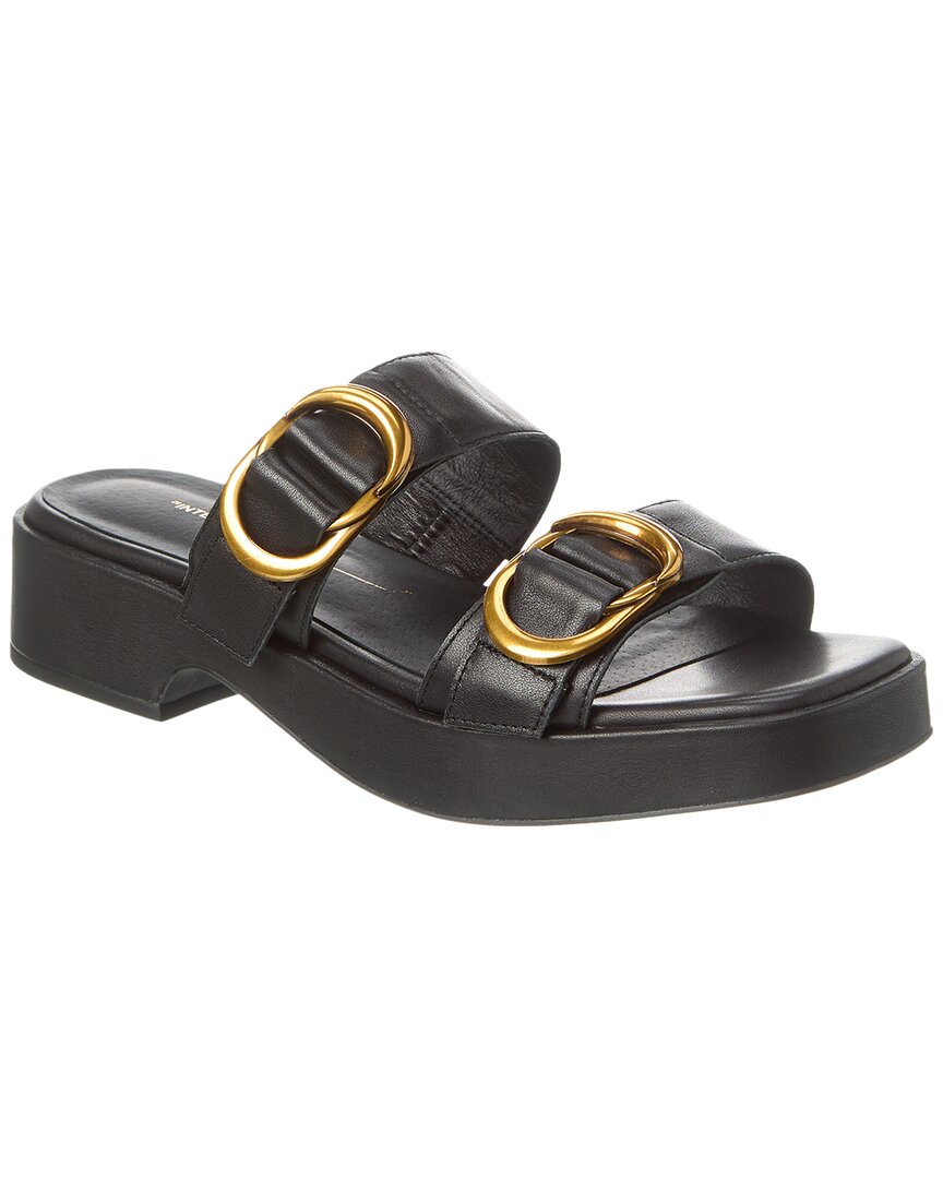 Shop Intentionally Blank Orion Leather Sandal