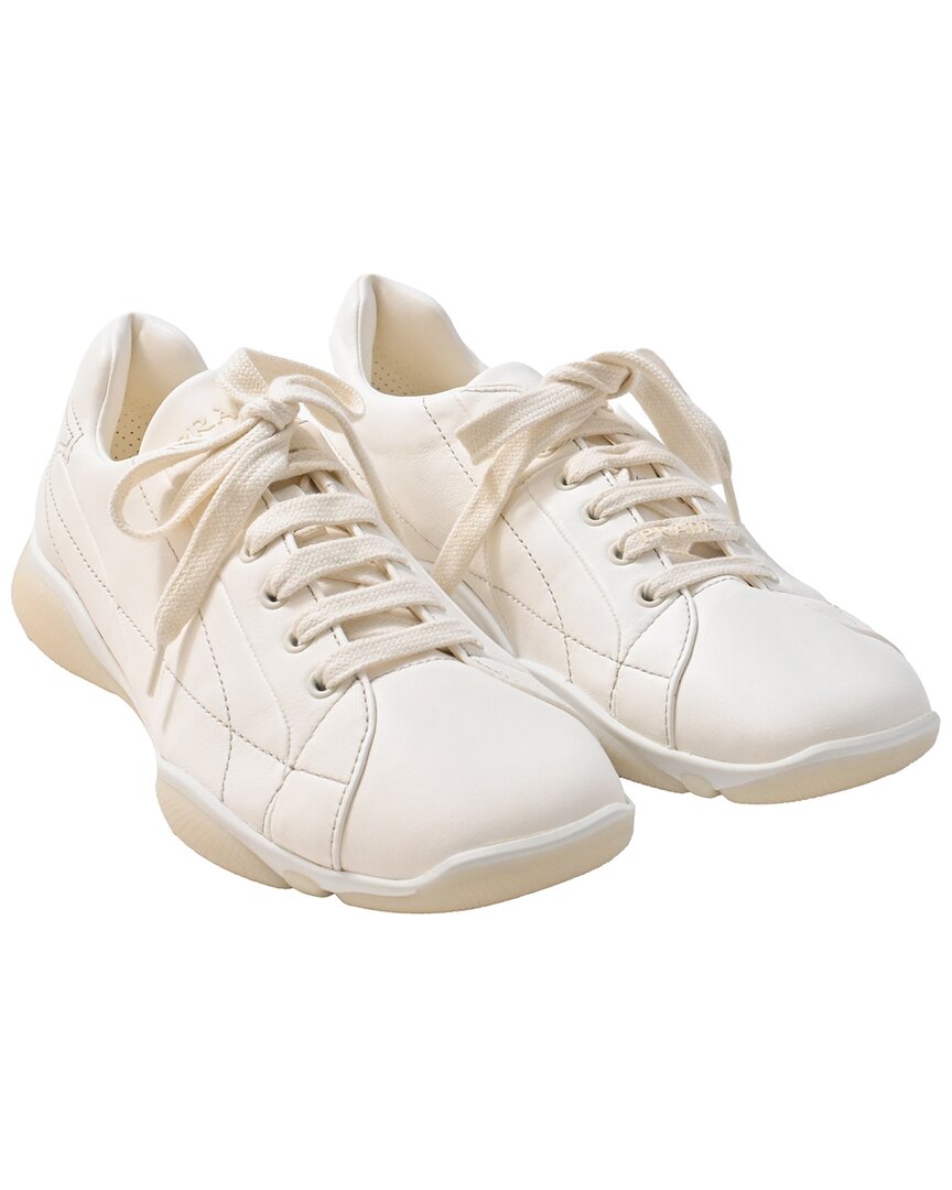 Prada Nappa Leather Sneakers In Multi