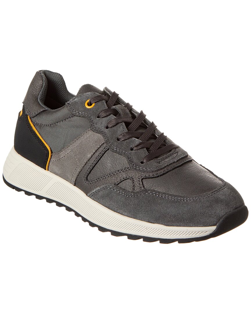 Shop Geox Molveno Suede Sneaker In Grey