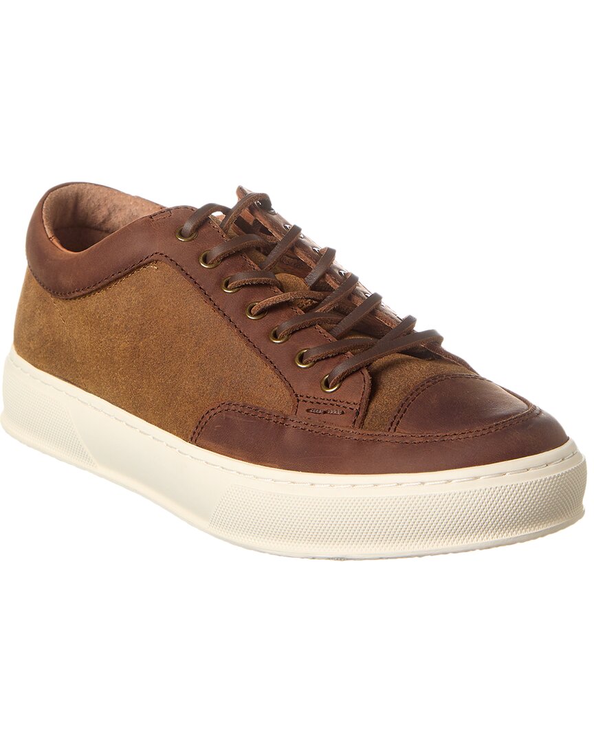 Frye Hoyt Low Lace Leather Sneaker In Brown