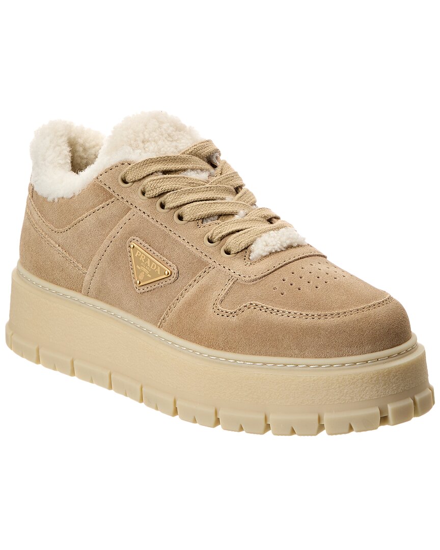 Prada Logo Suede & Shearling Platform Sneaker In Brown