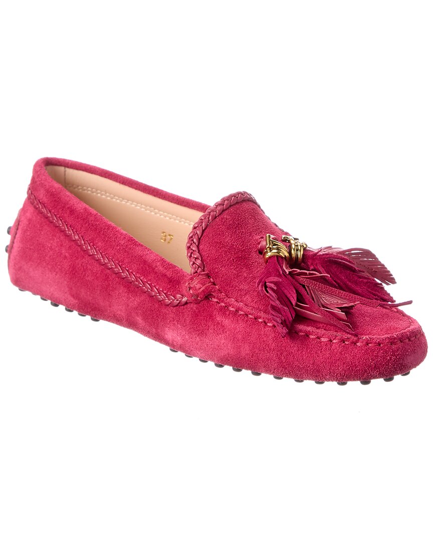 Shop Tod's Gommino Tassel Suede Loafer In Pink