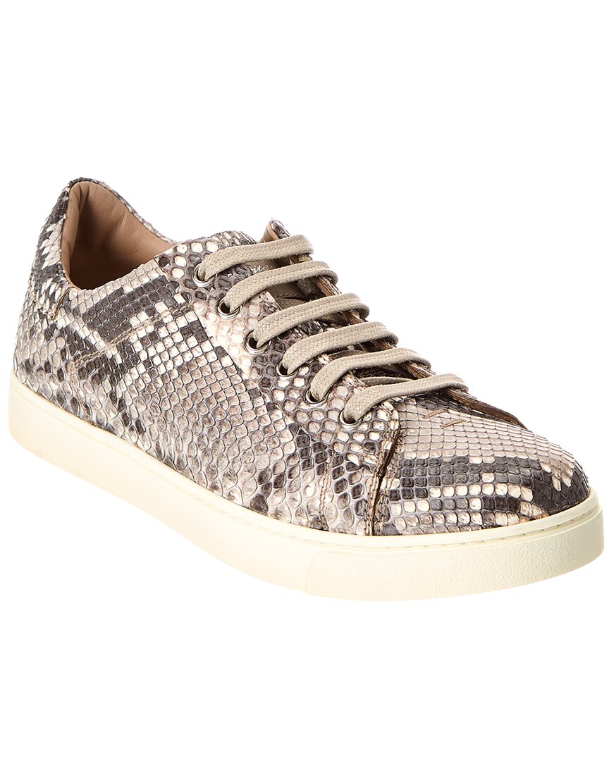 Gianvito Rossi Low Top Python Sneaker In Grey