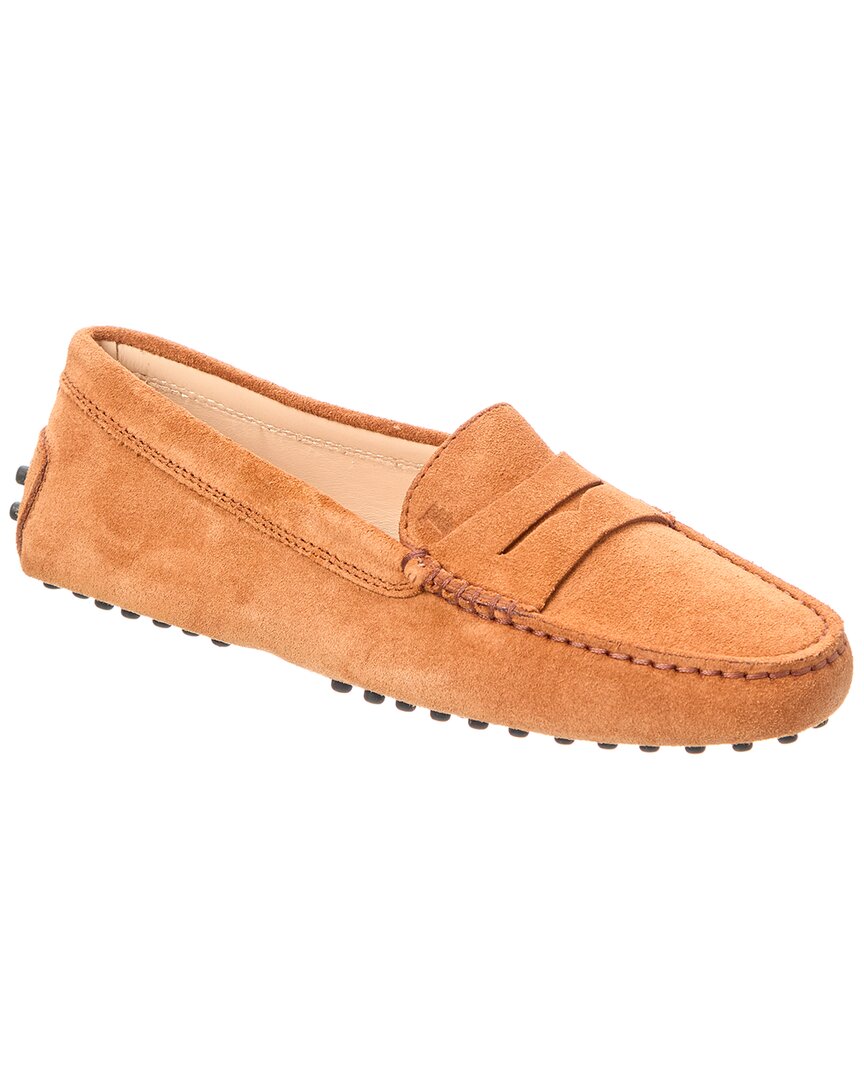 Tod's Tods Gommino Suede Loafer