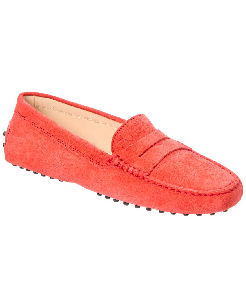 Tod's Gommini Suede Loafer