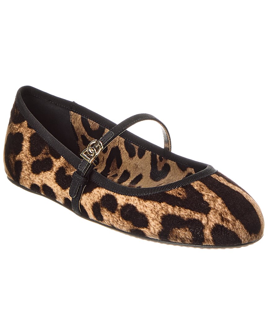 Dolce & Gabbana Printed Velvet Ballet Flats