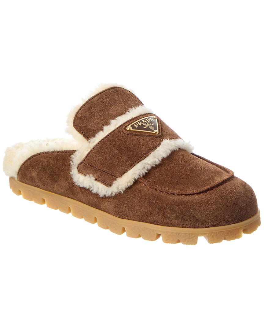 Prada Suede & Shearling Mule In Brown