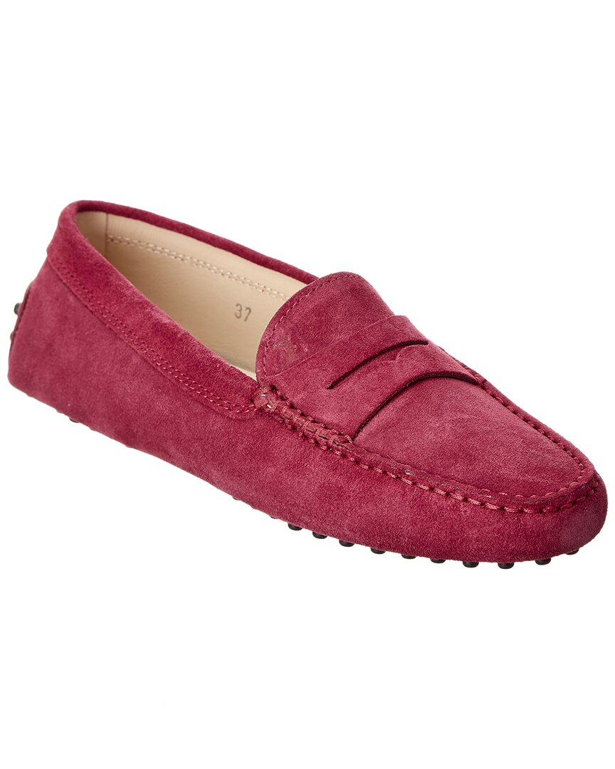 Shop Tod's Gommino Suede Loafer In Red